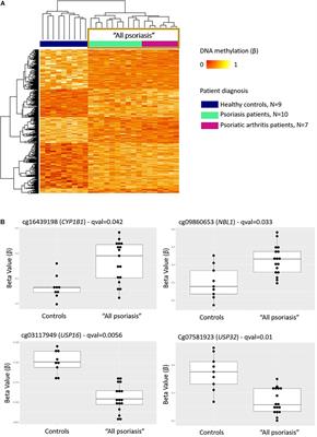 DNA Methylation Patterns in CD8+ T Cells Discern Psoriasis From Psoriatic Arthritis and Correlate With Cutaneous Disease Activity